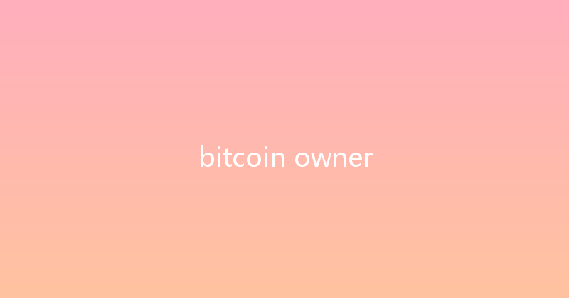 bitcoin owner 