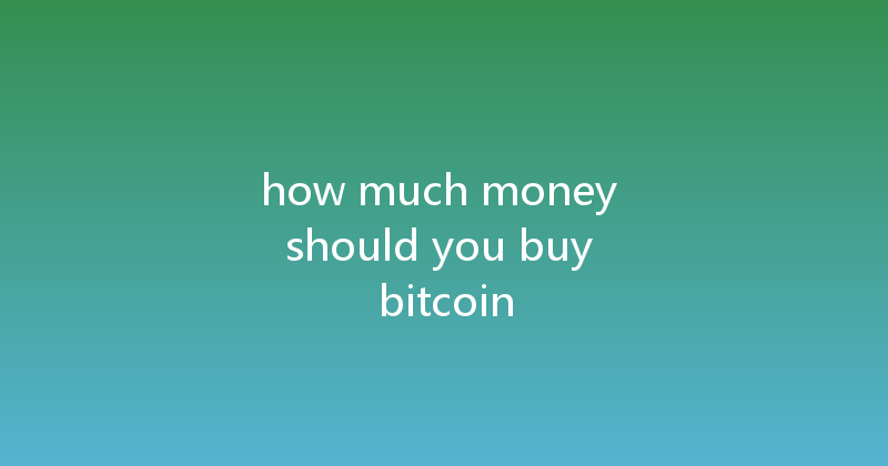 how much money should you buy bitcoin 