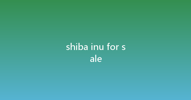 shiba inu for sale 
